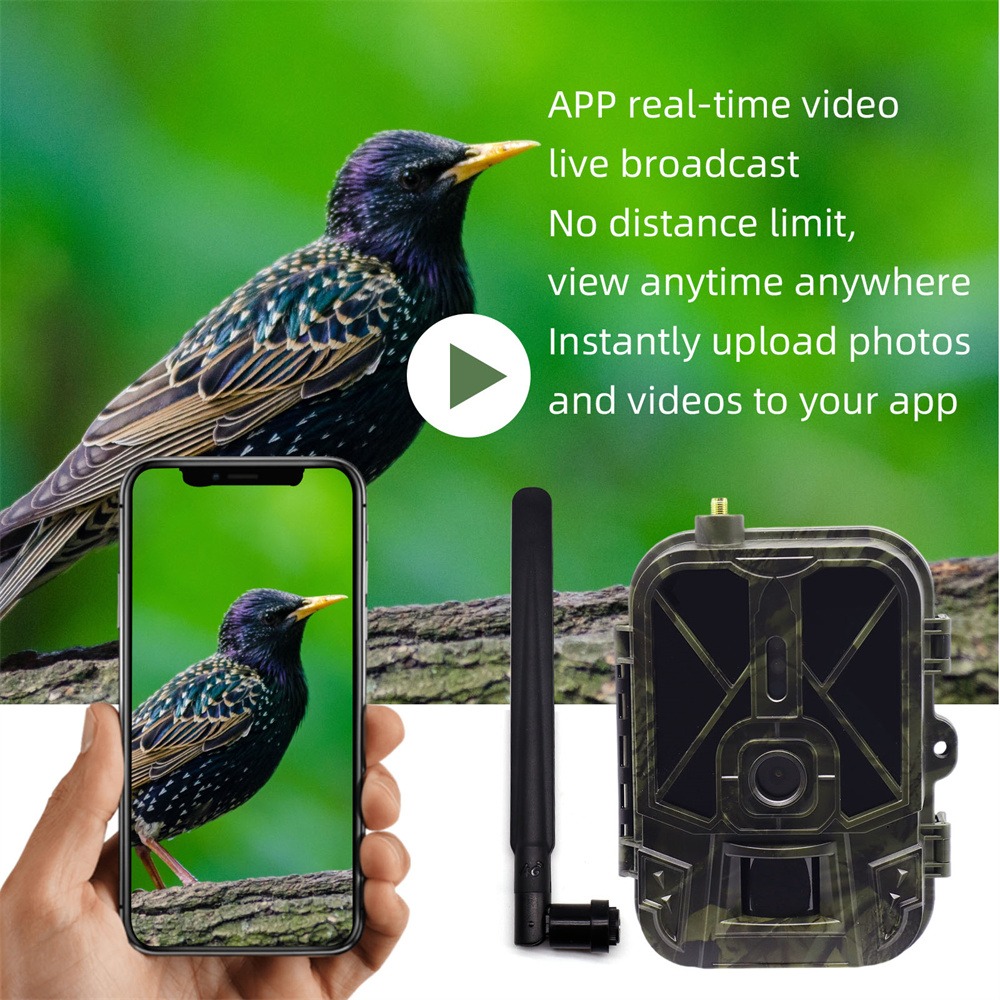 Outdoor 4G 120MP 4K Live Show  - Hunting And Outdoor Shows ulasan dan harga