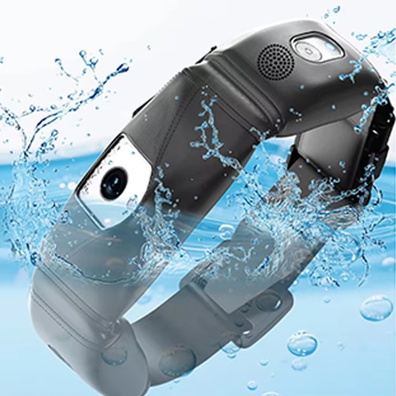 APP Controlled High Accuracy D - Outdoor Hunting Dog Collar ulasan dan harga
