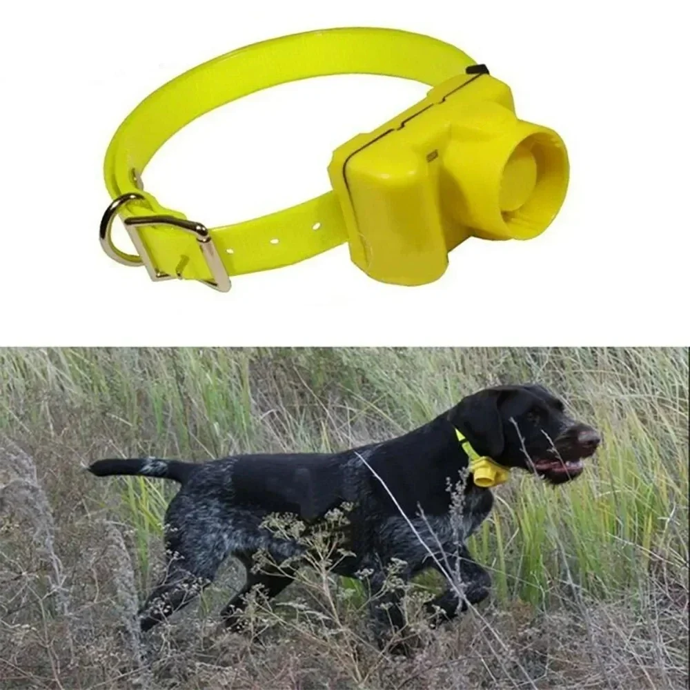 FurHaven Outdoor Hunting Dog B - Outdoor Hunting Dog Collar ulasan dan harga