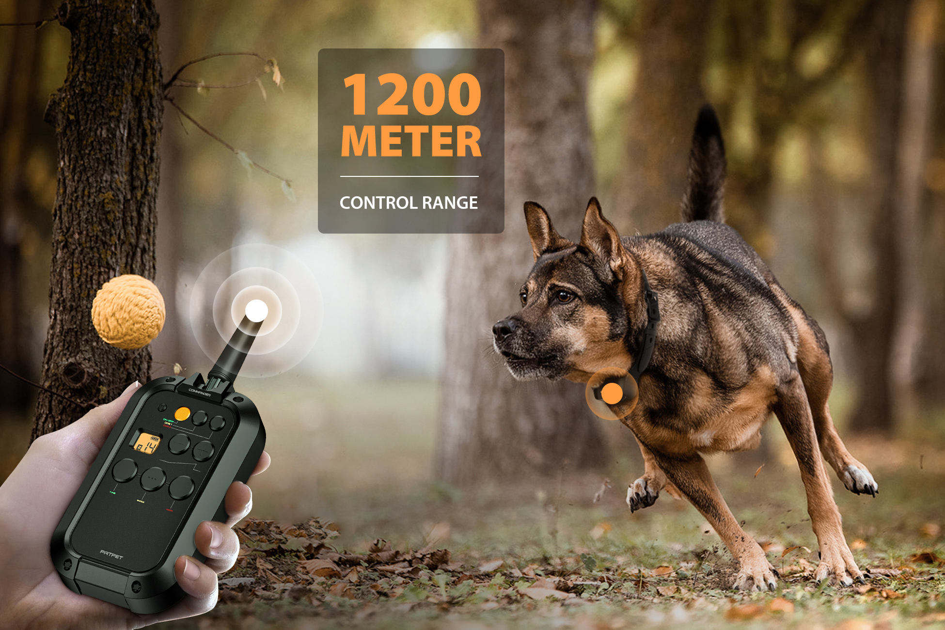 PATPET Professional Dog Traini - Outdoor Hunting Dog Collar ulasan dan harga