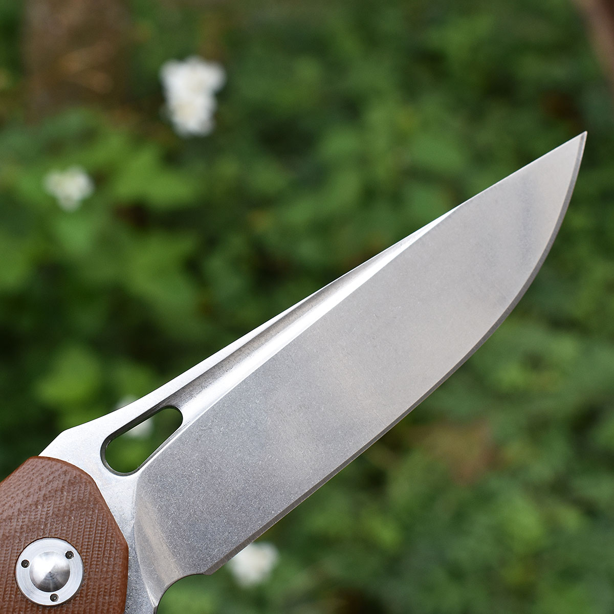 M390 Steel G10 Handle Ball Bea - Hunting And Camping In Jungle ulasan dan harga
