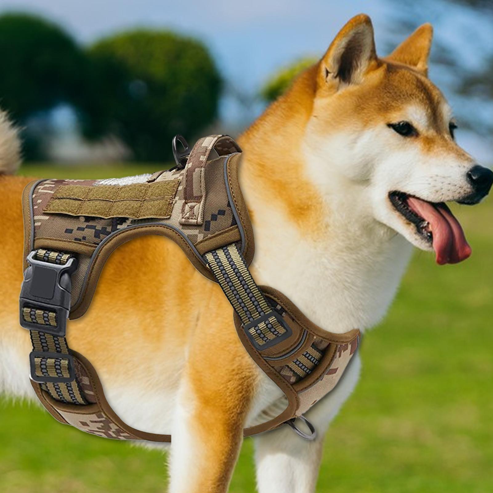Heavy Duty Dog Harness Heavy D - Outdoor Hunting Dog Collar ulasan dan harga