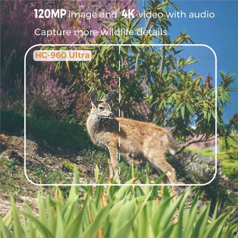AS95-Outdoor 4G 120MP 4K Live  - Hunting And Outdoor Shows ulasan dan harga