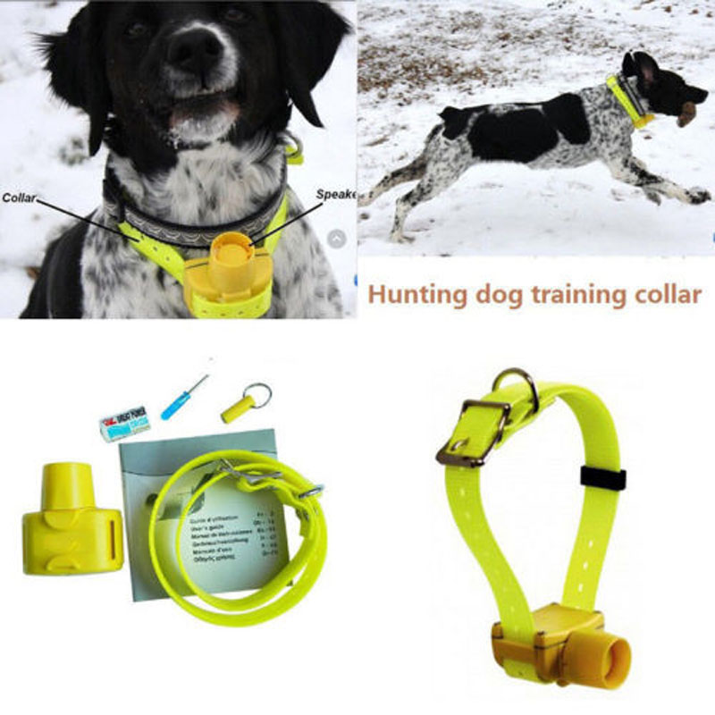 Professional Hunting Dog Beepe - Outdoor Hunting Dog Collar ulasan dan harga