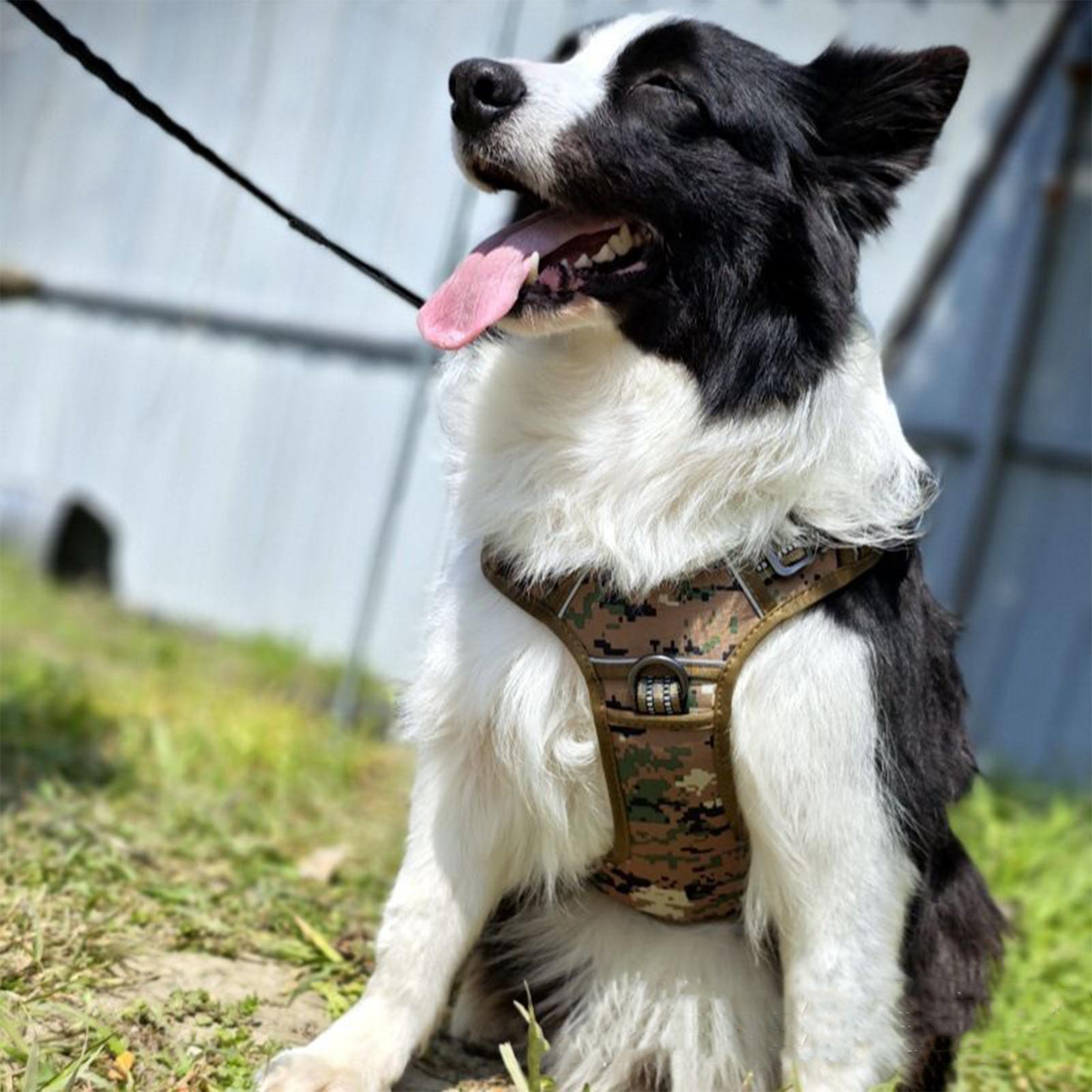 Heavy Duty Dog Harness No Pull - Outdoor Hunting Dog Collar ulasan dan harga